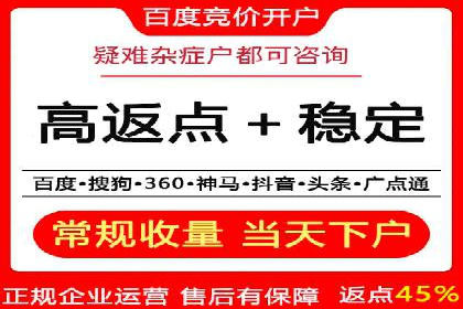 SEM竞价推广案例：电商行业成功案例解析